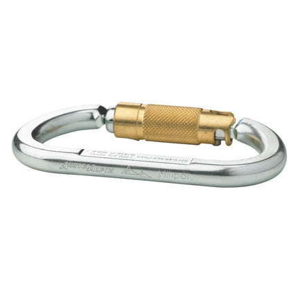 AustriAlpin ASYMM OVAL XL 2-Way Autolock Steel Carabiner