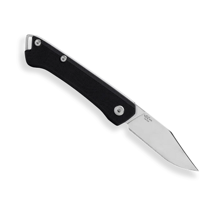 Buck Knives 250 Saunter Folding Knife (Clip Point)