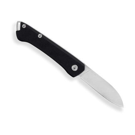 Buck Knives 250 Saunter Folding Knife (Drop Point)