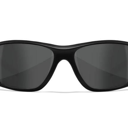 Wiley X Aspect - 1 Lens (Smoke Grey) | Matte Black Frame